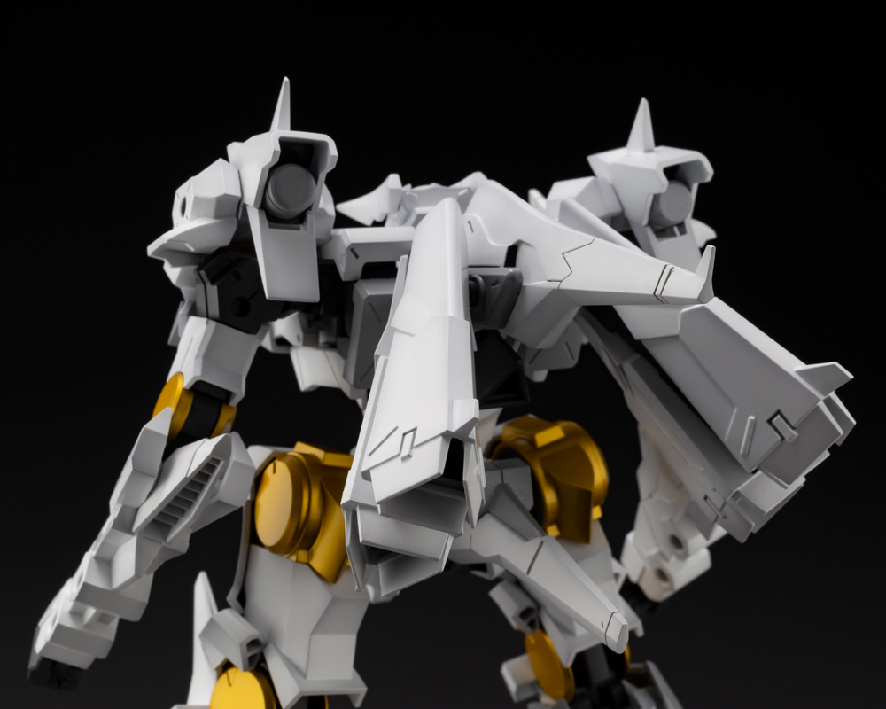 (FA116) TYPE-HECTOR DURANDAL - Image 12