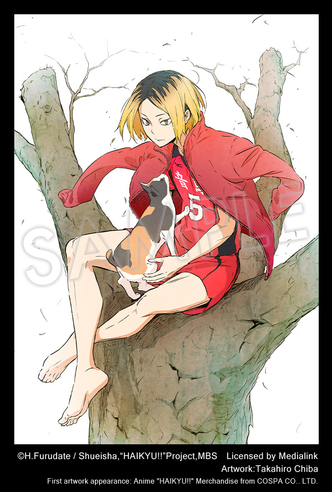 kozume 0824  PV117 ARTFX J Kenma Kozume – SOZO Distribution