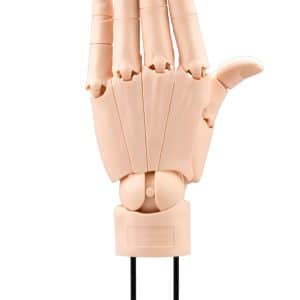 AT022 ARTIST SUPPORT ITEM HAND MODEL/L -PALE ORANGE-