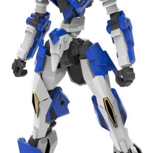 TR001 RAIL VIRTH V.F.A.