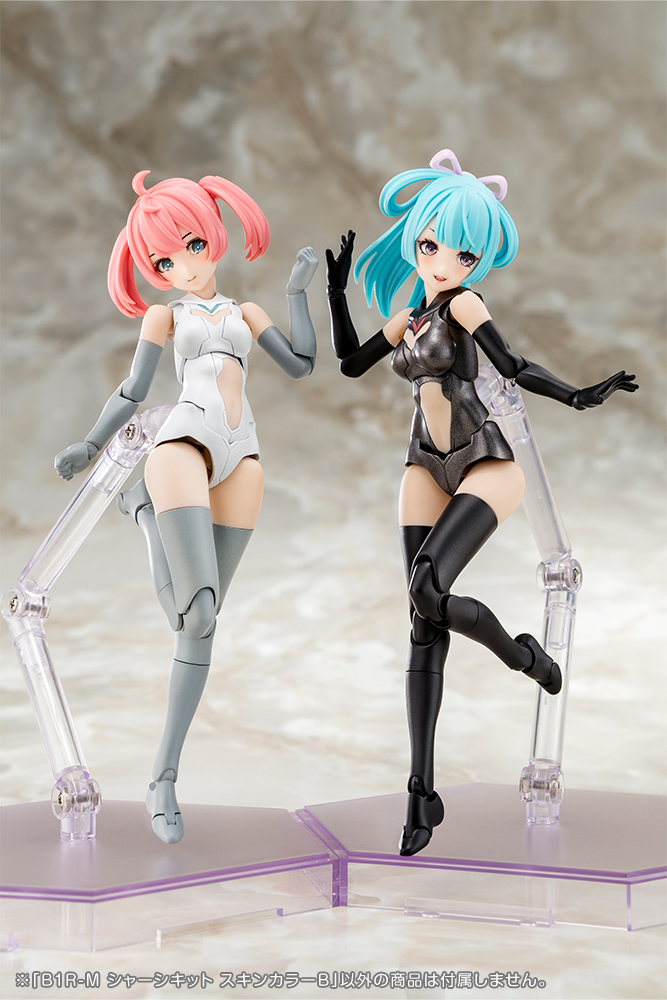 KP832 B1R-M CHASSIS KIT SKIN COLOR B - Image 3