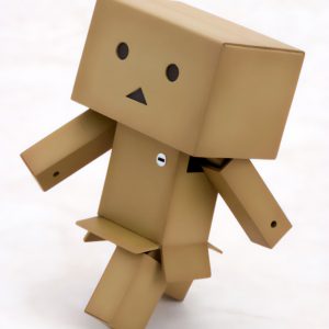 KP208R DANBOARD