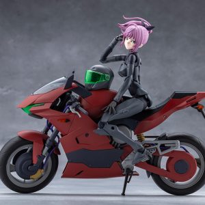 CX053 EMULATOR RIDING PACKAGE